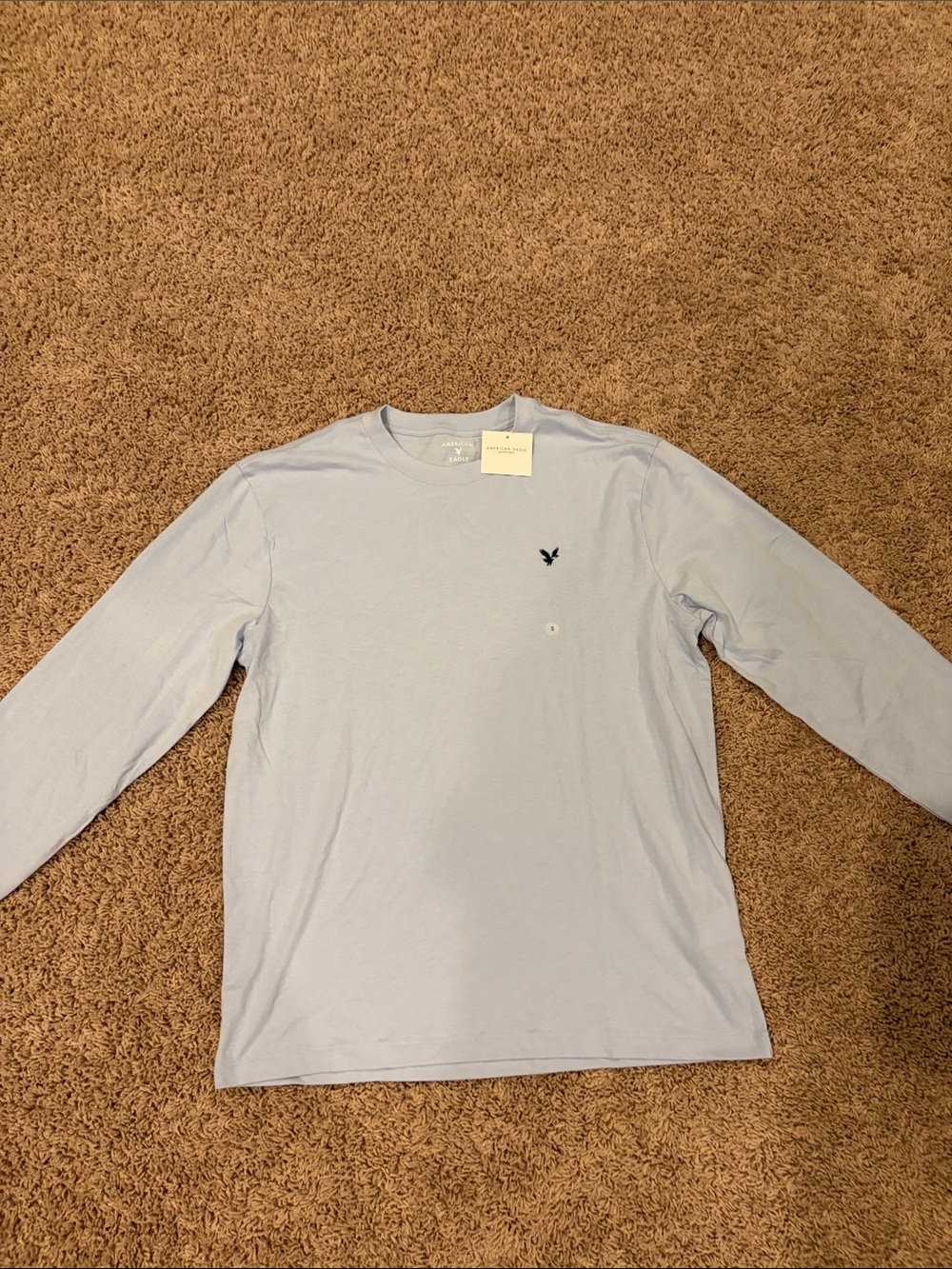 American Eagle Outfitters Pale Blue Long Sleeve Crewneck Tee